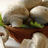 Sirovi šampinjoni: je li moguće jesti, koristi i štete, recenzije, recepti za kuhanje